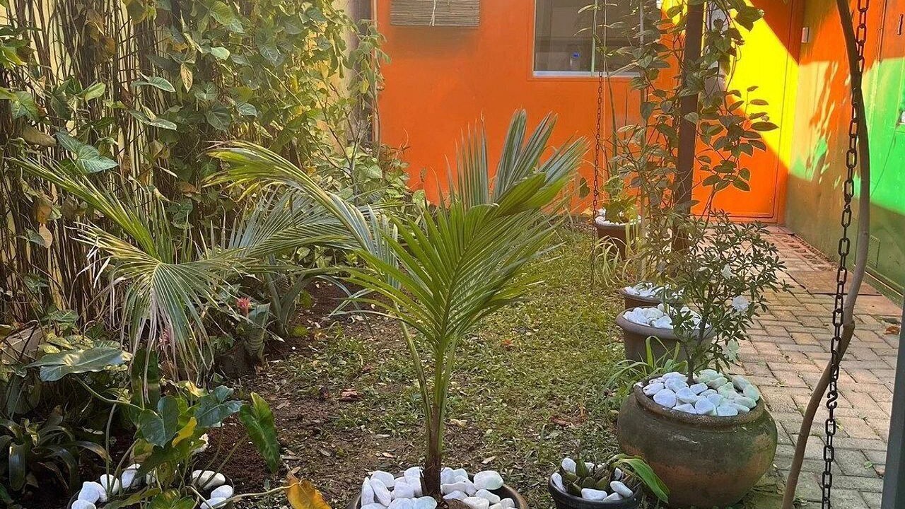 Photo of Outdoor in Lapa