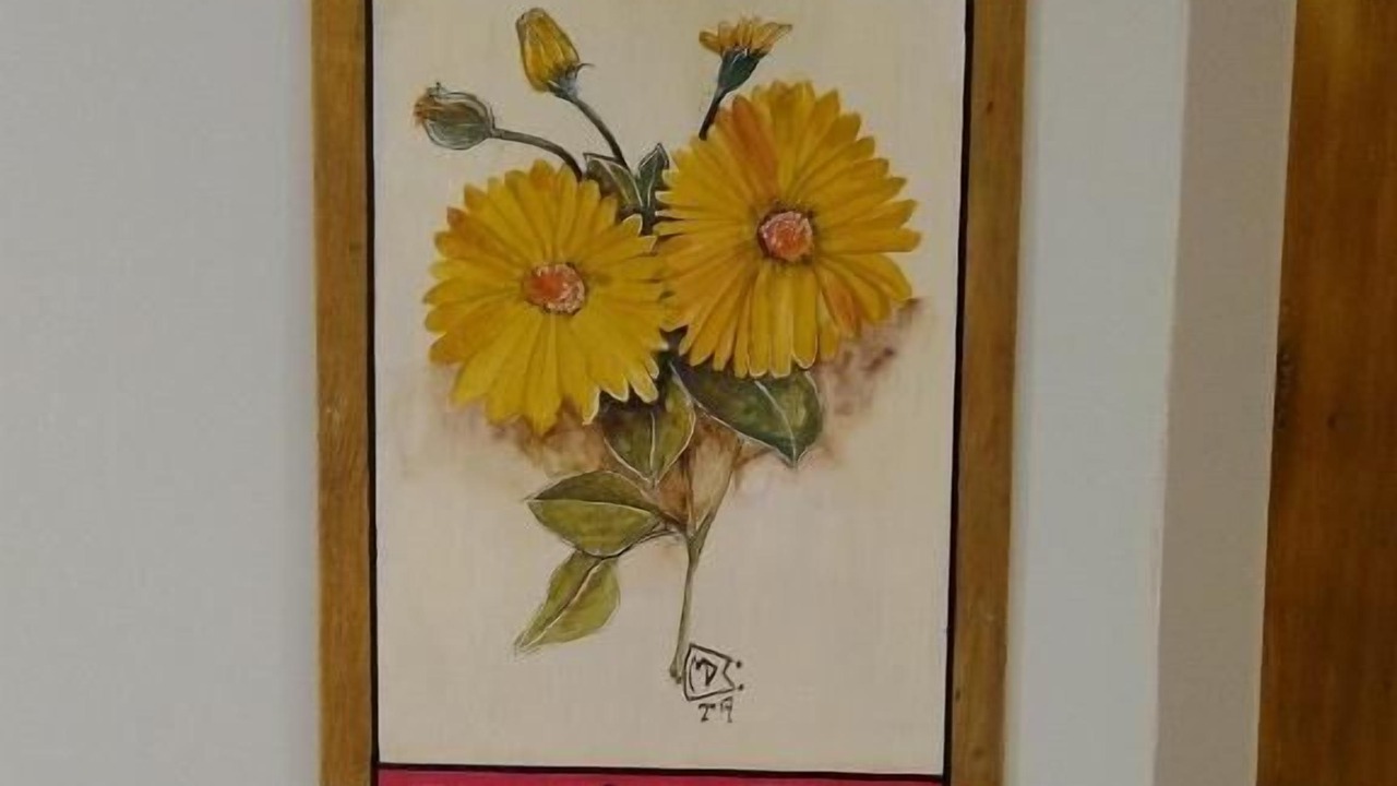 Photo of Others in 10 de Diciembre