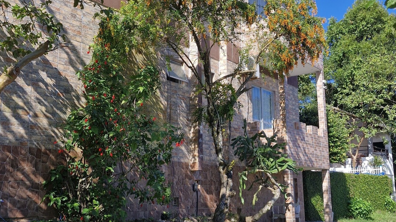 Photo of Outdoor in Porto Belo