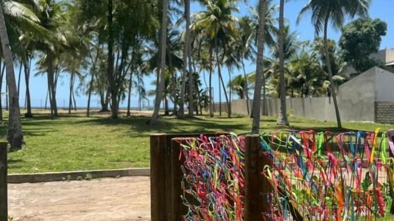 Photo of Outdoor in Vera Cruz
