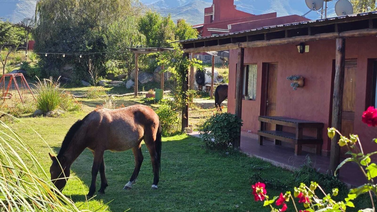 Photo of Outdoor in Tafi del Valle