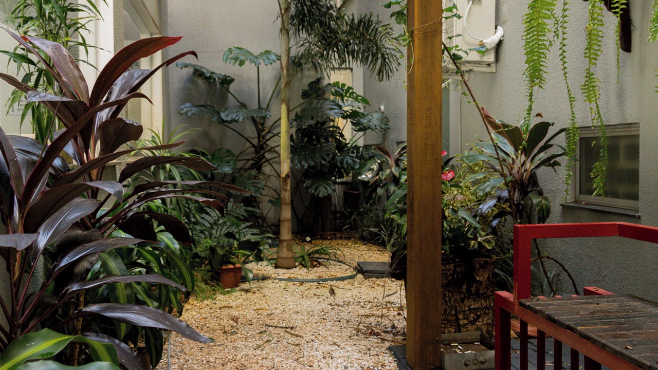 Photo of Patio Balcony in Centro
