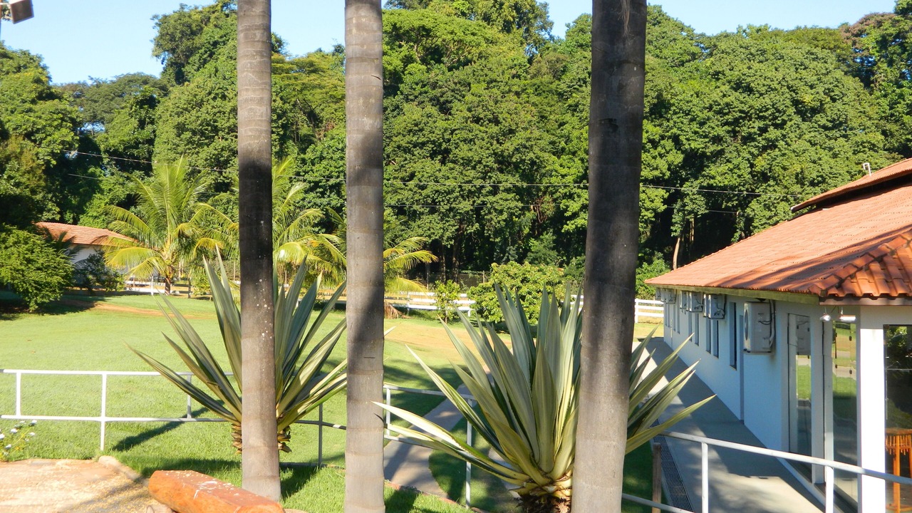 Photo of Outdoor in Jaboticabal