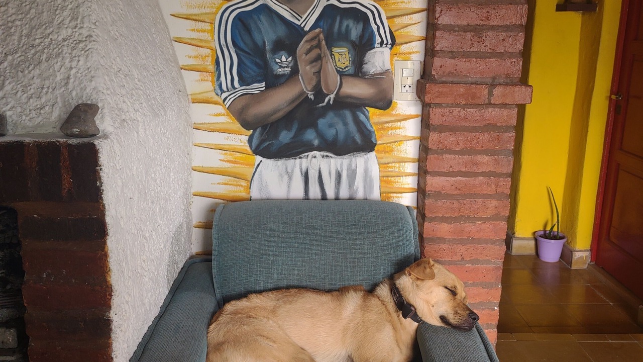 Photo of Others in Reyes