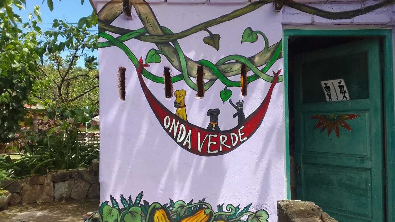 Photo of Outdoor in Reyes