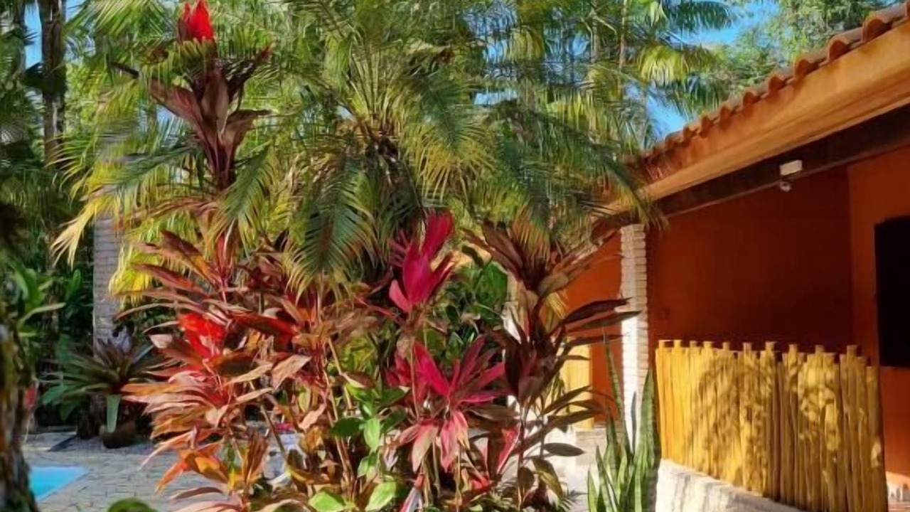 Photo of Outdoor in Itamambuca