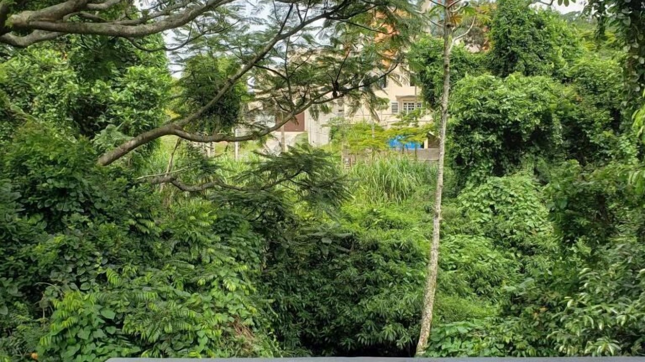 Photo of Outdoor in Cabecudas