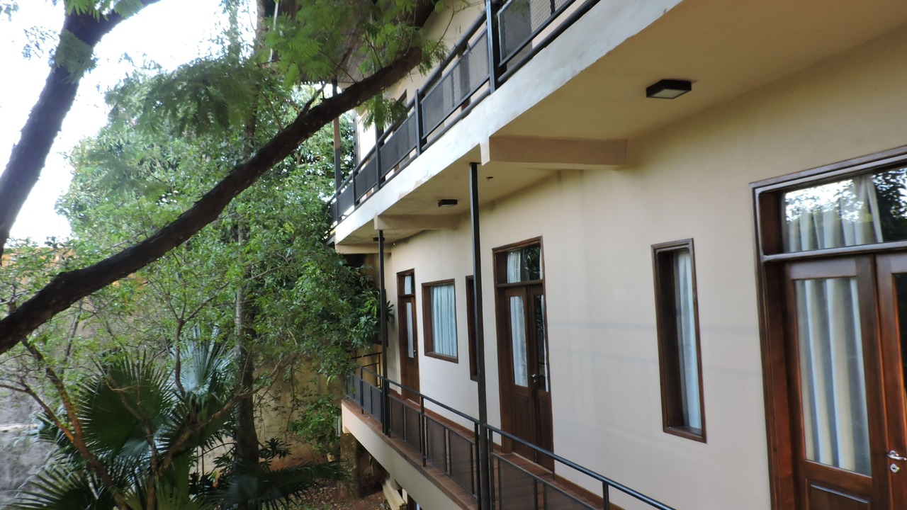 Photo of Outdoor in Puerto Rico