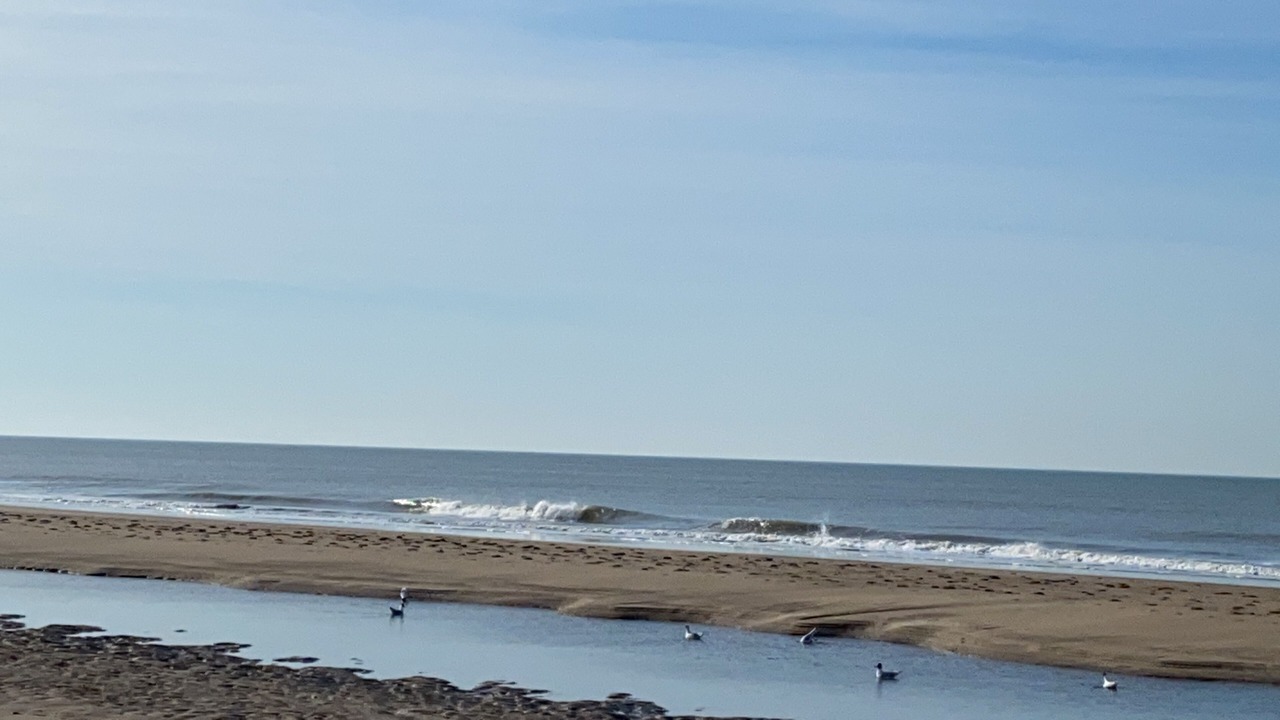 Photo of Others in Valeria del Mar