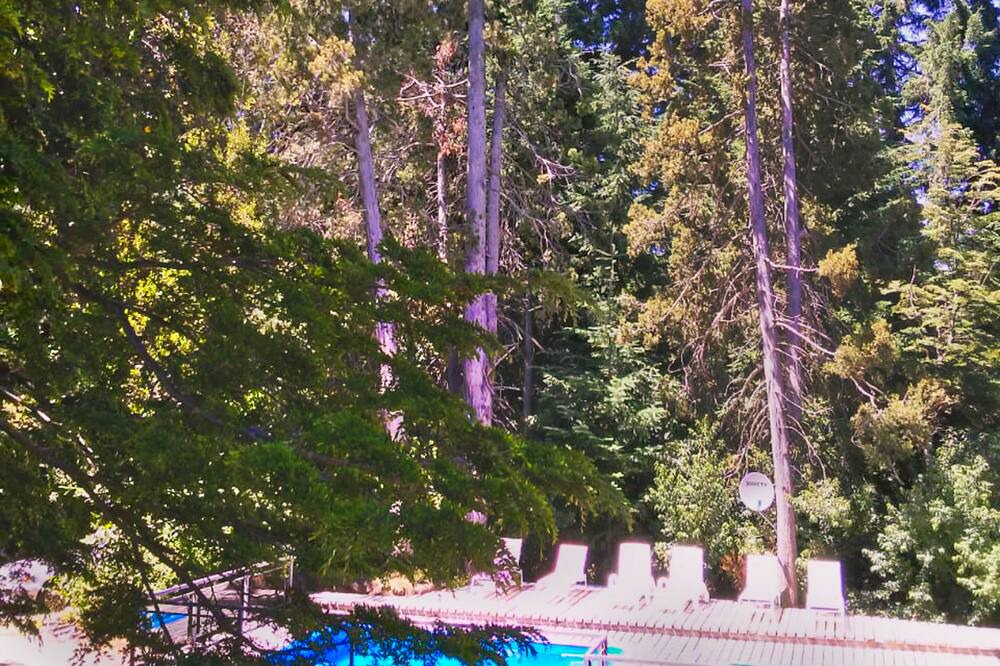 Photo of Outdoor in Puerto Manzano