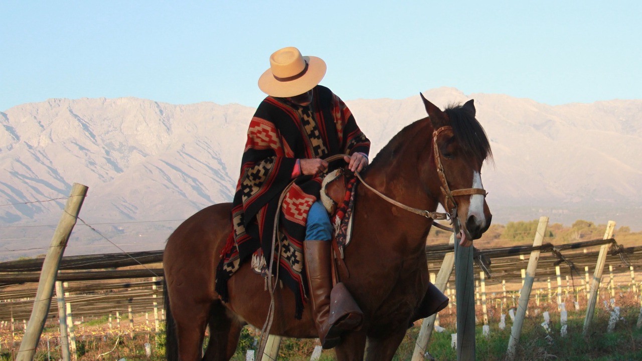 Photo of Outdoor in San Javier