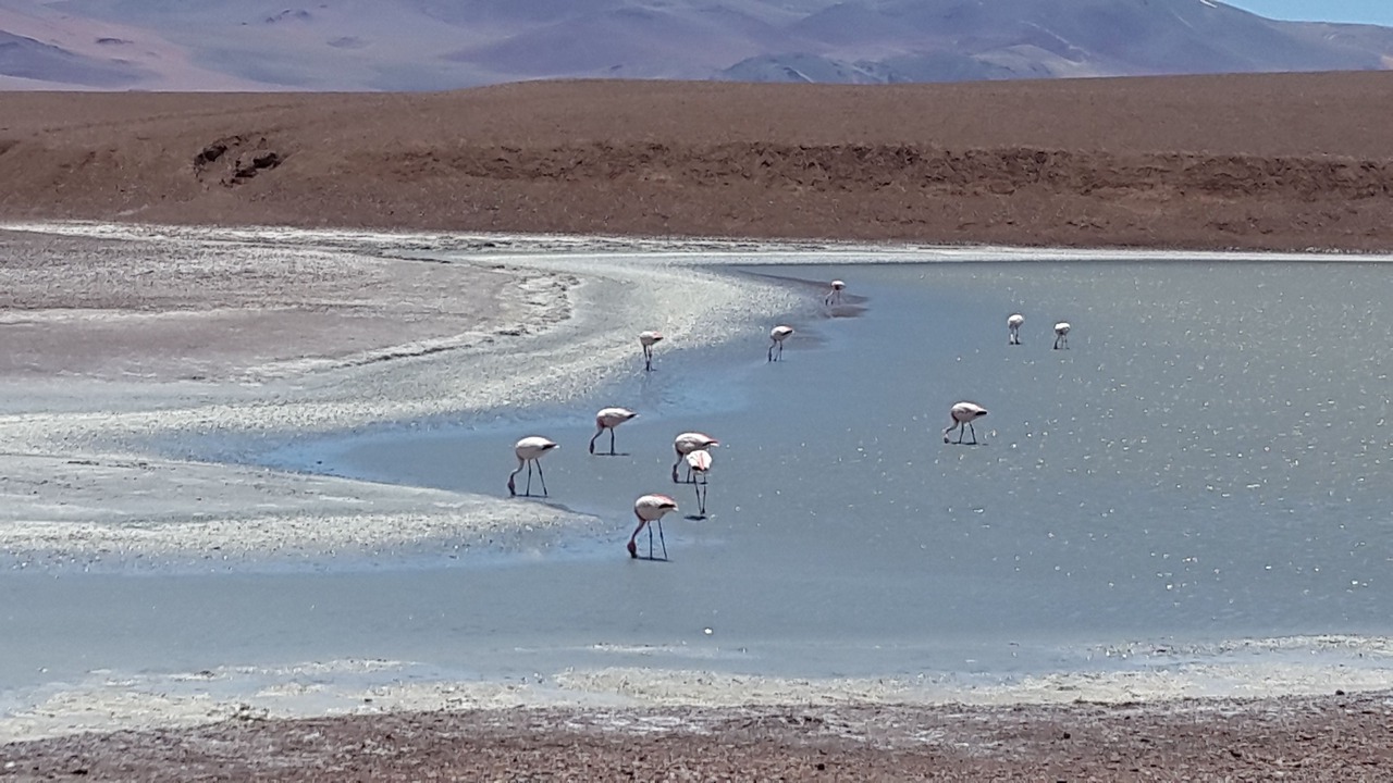 Photo of Outdoor in Nonogasta