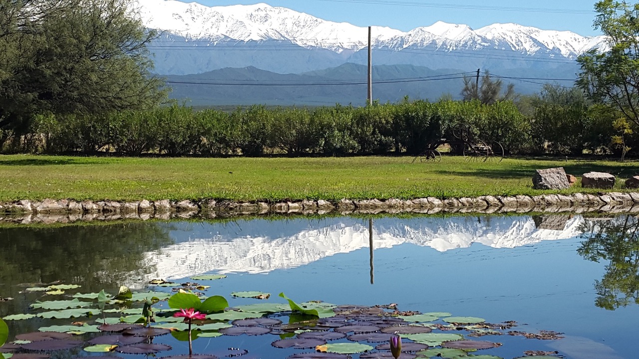 Photo of Outdoor in Nonogasta
