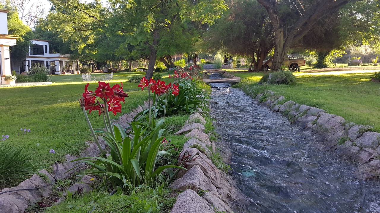 Photo of Outdoor in Nonogasta