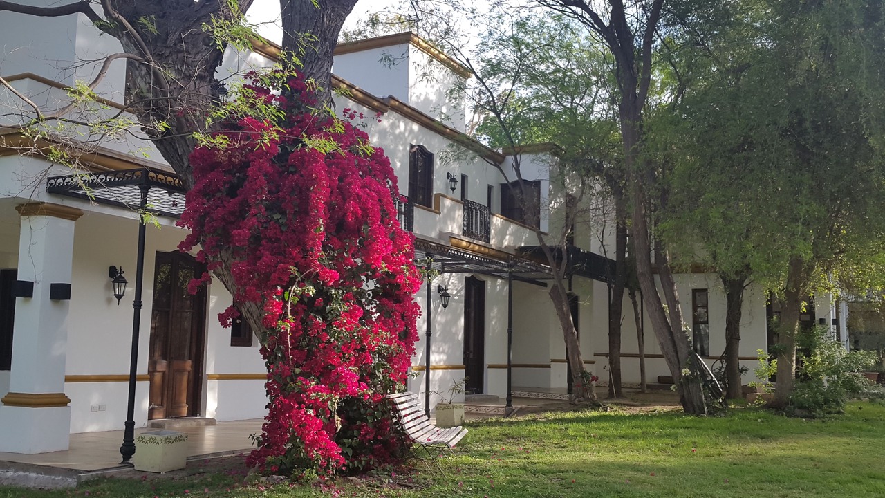 Photo of Outdoor in Nonogasta