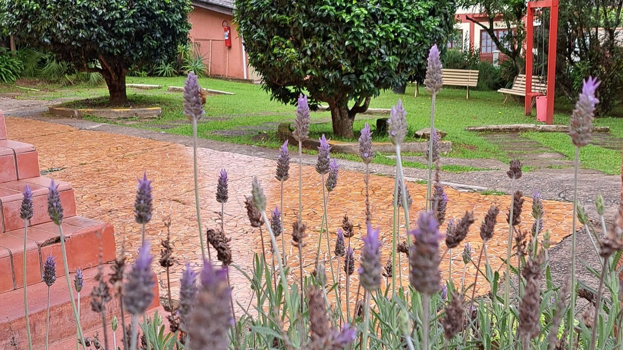 Photo of Outdoor in Fracalanza