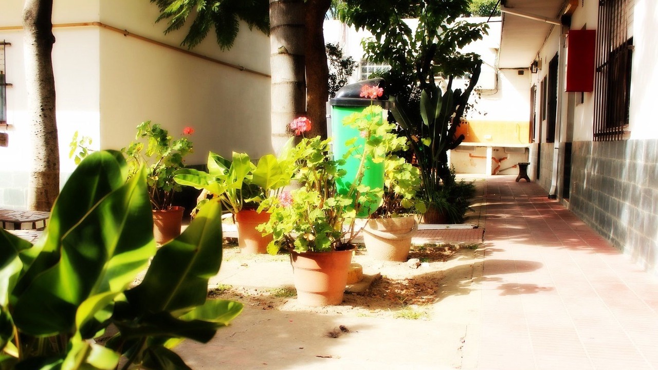 Photo of Outdoor in General Pacheco