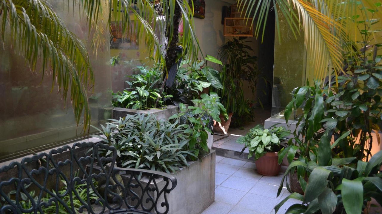 Photo of Outdoor in Catedral