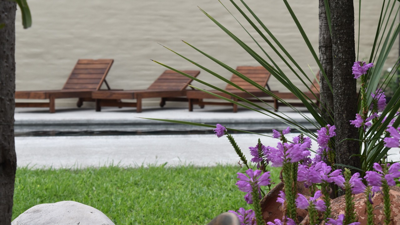 Photo of Outdoor in Barrio Centro