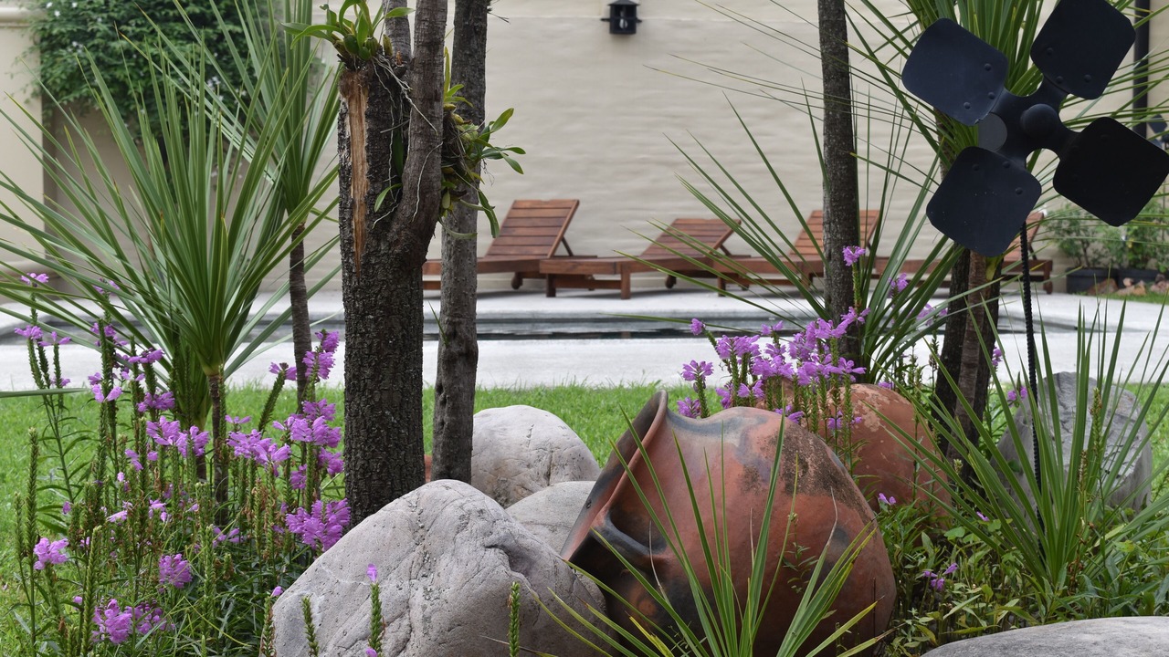 Photo of Outdoor in Barrio Centro