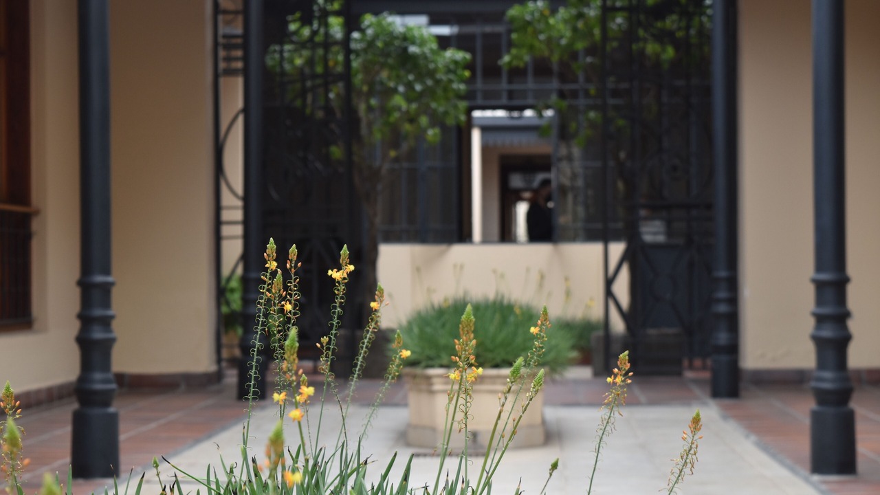 Photo of Outdoor in Barrio Centro