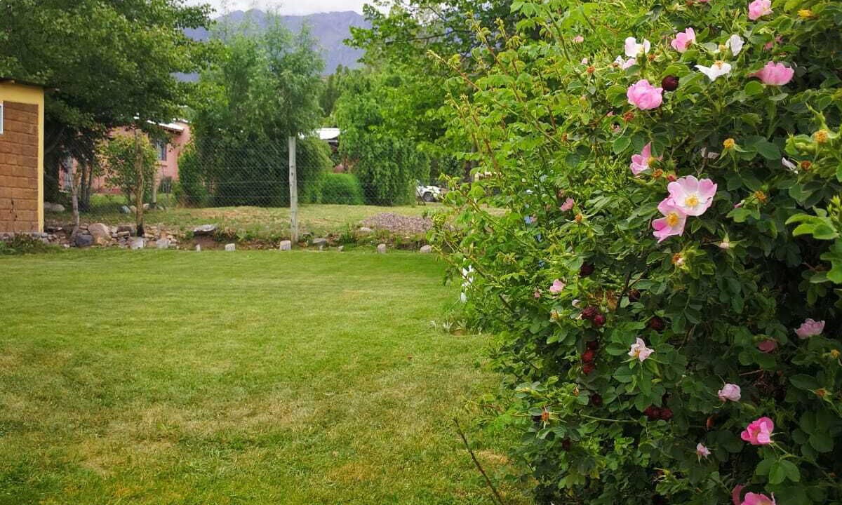 Photo of Outdoor in Salto