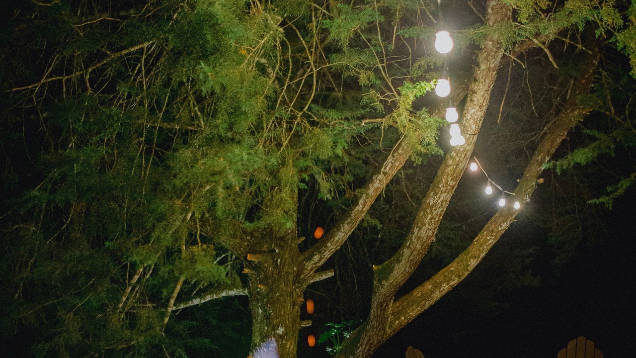 Photo of Outdoor in San Martin
