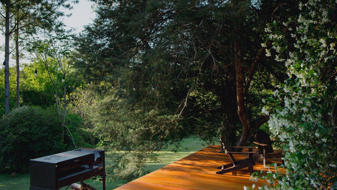 Photo of Outdoor in San Martin