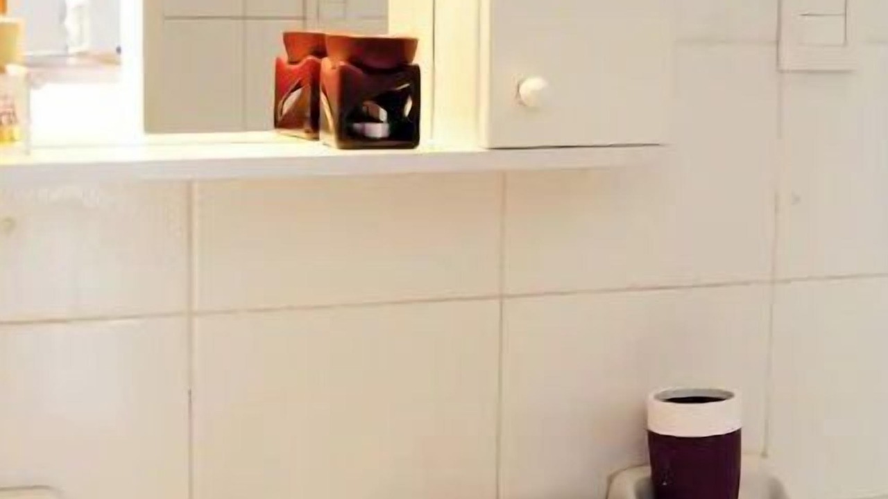 Photo of Bathroom in Microcentro