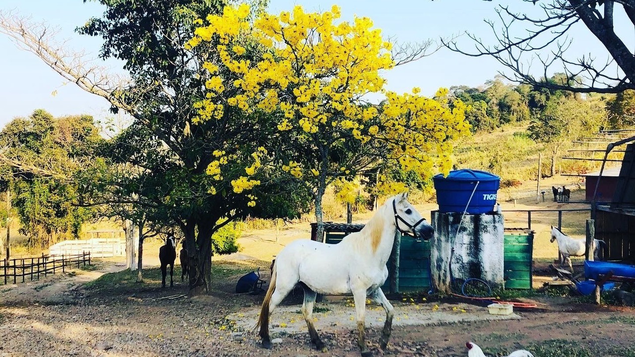 Photo of Outdoor in Atibaia