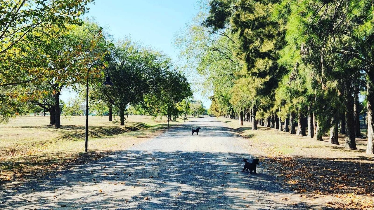 Photo of Outdoor in Pilar