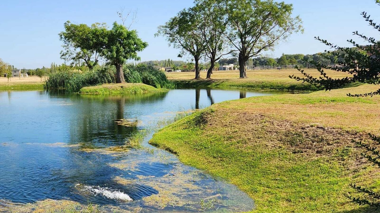 Photo of Outdoor in Pilar