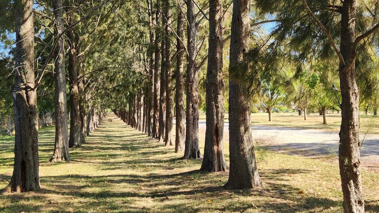 Photo of Outdoor in Pilar