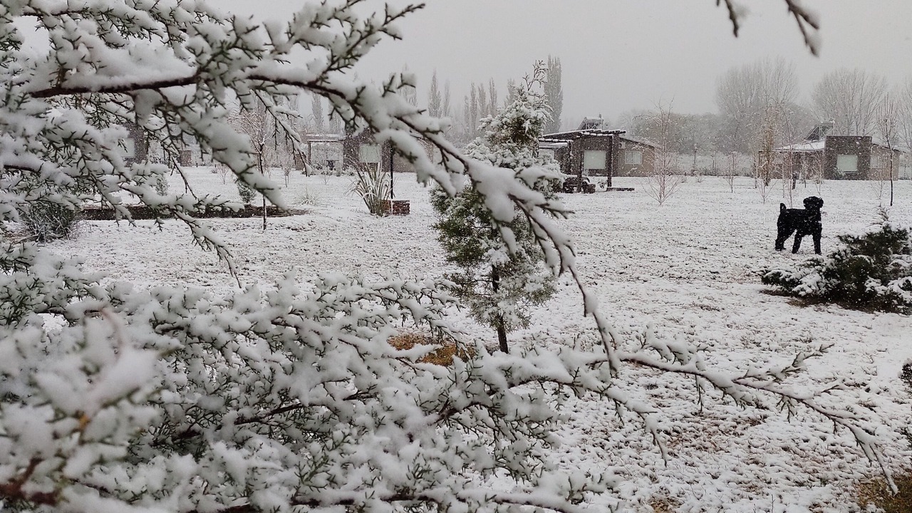 Photo of Outdoor in Las Paredes