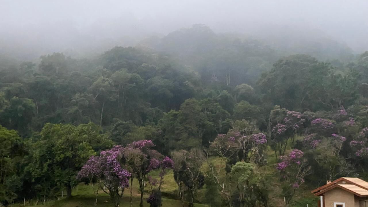 Photo of Outdoor in Goncalves
