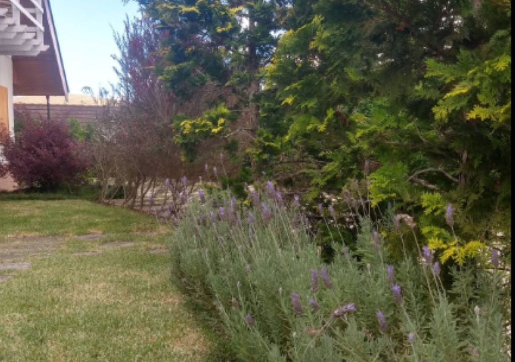 Photo of Outdoor in Campos do Jordao