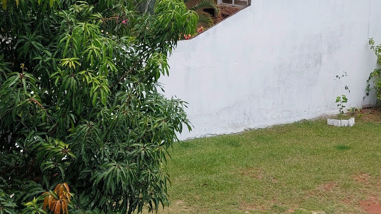 Photo of Outdoor in Bacaxa