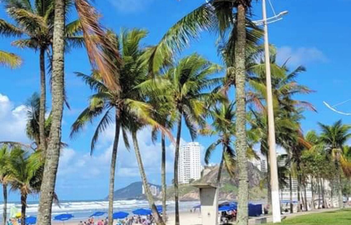 Photo of Outdoor in Jardim Mar e Ceu