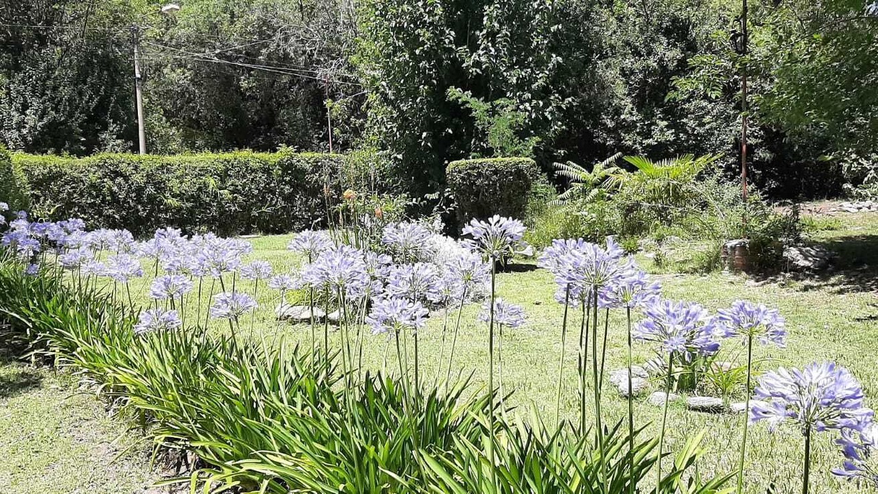Photo of Outdoor in La Poblacion
