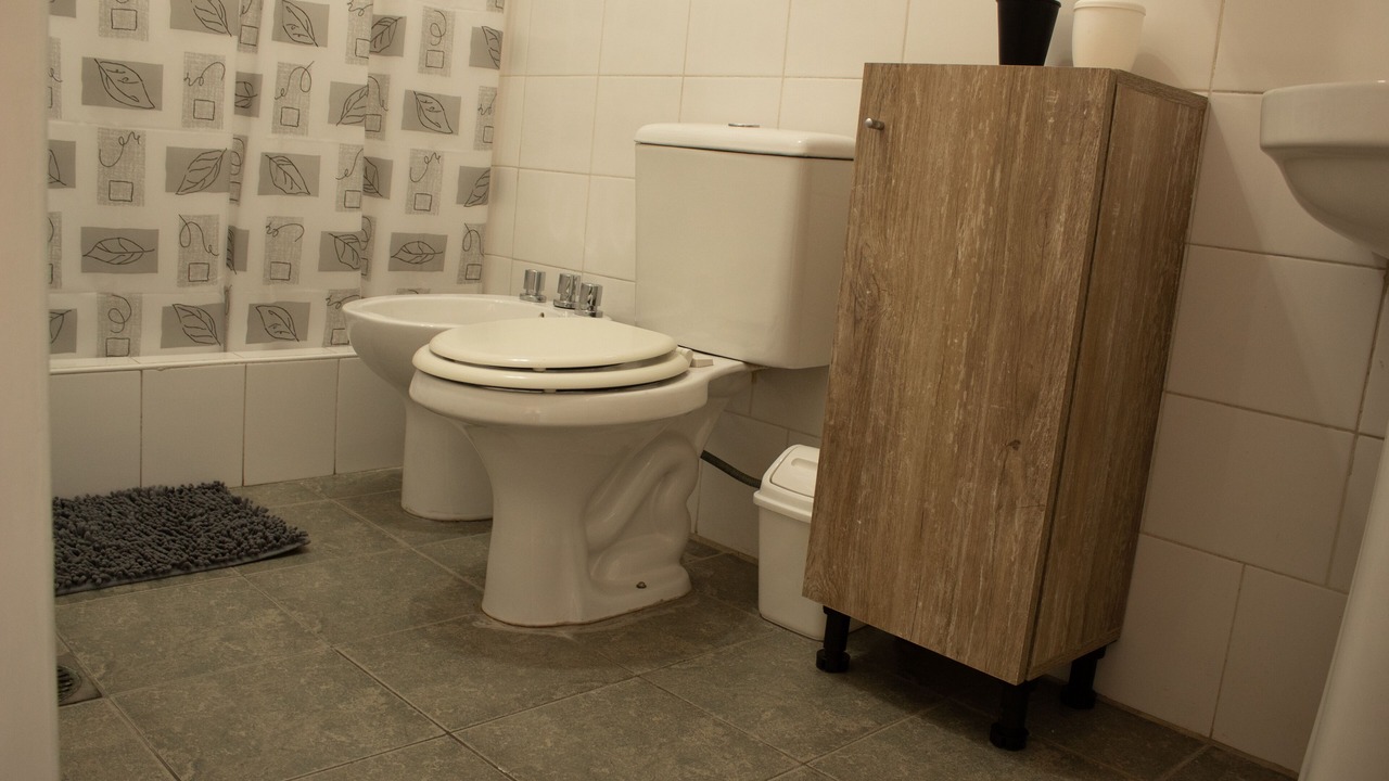 Photo of Bathroom in Mendoza City Center