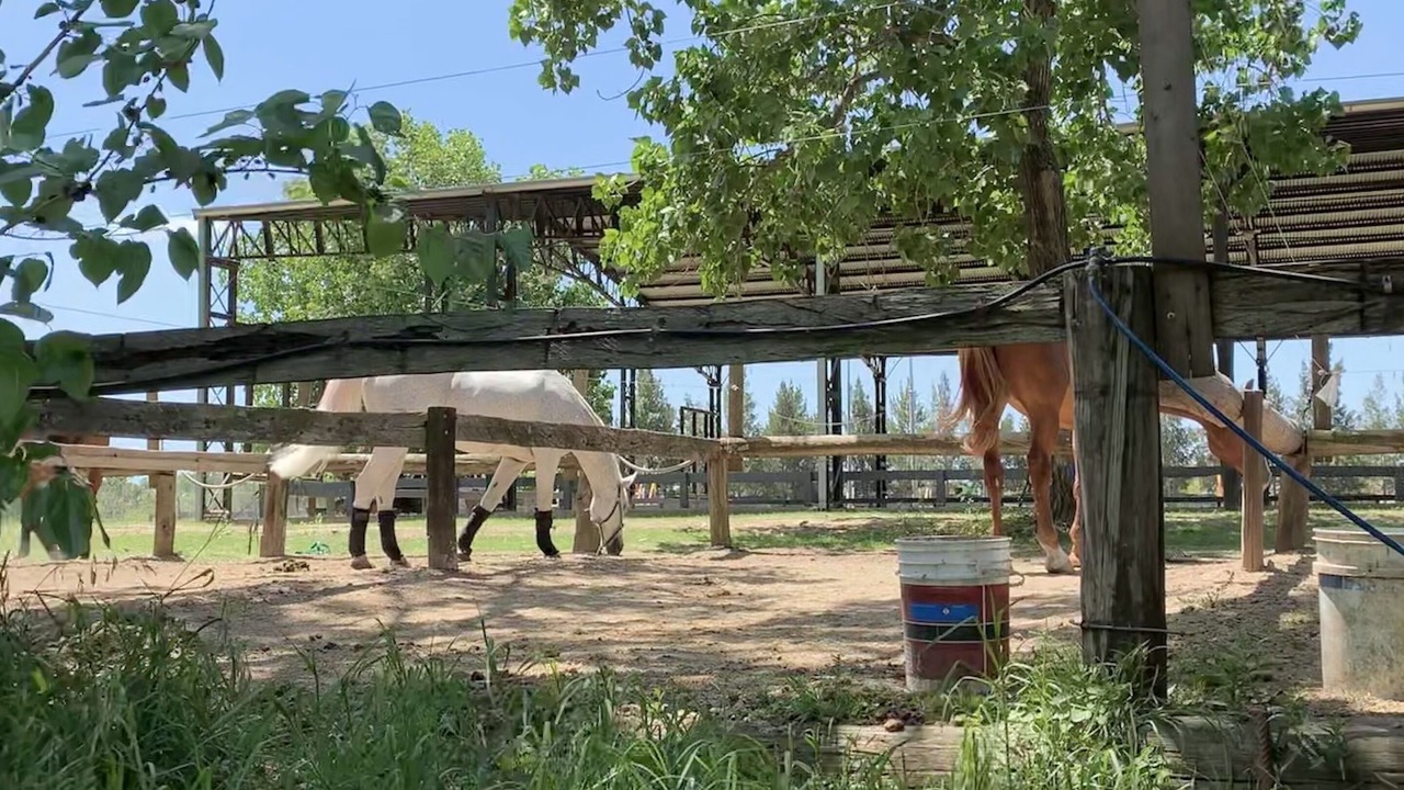 Photo of Outdoor in Acassuso