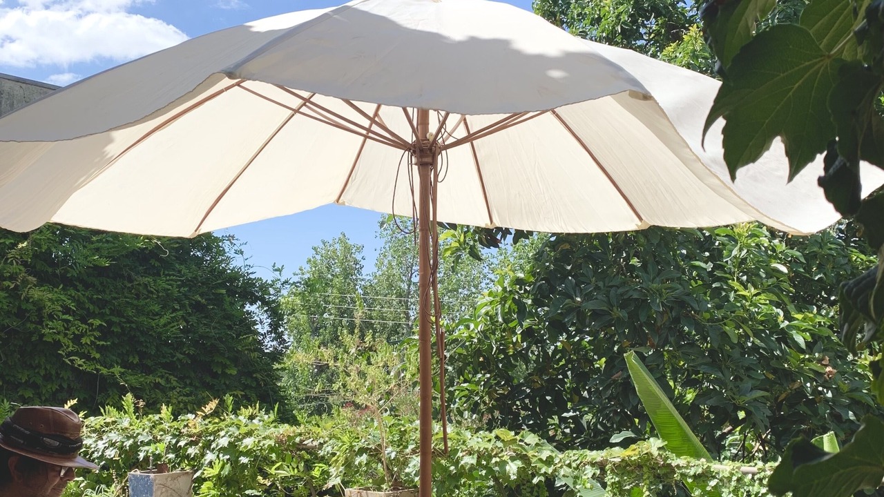 Photo of Outdoor in Acassuso