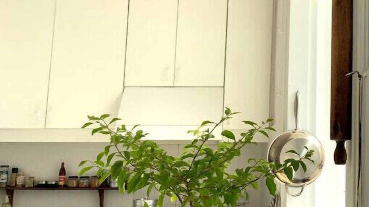 Photo of Kitchen in San Telmo