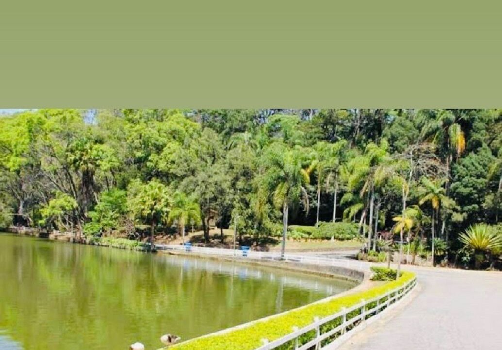 Photo of Outdoor in Zona Norte