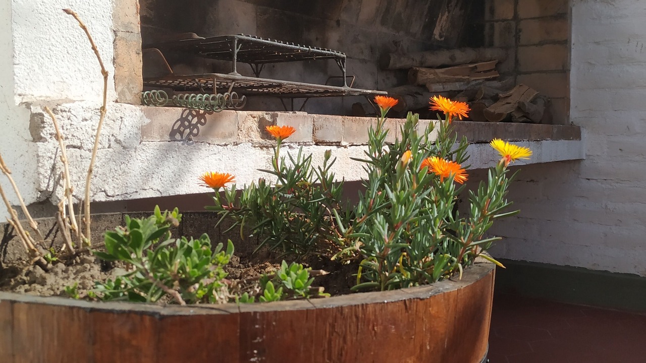 Photo of Outdoor in Tunuyan