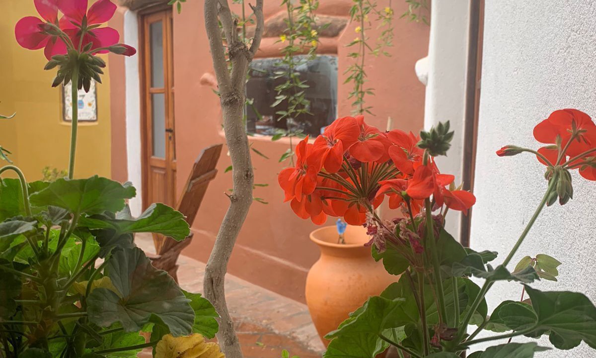 Photo of Outdoor in San Carlos