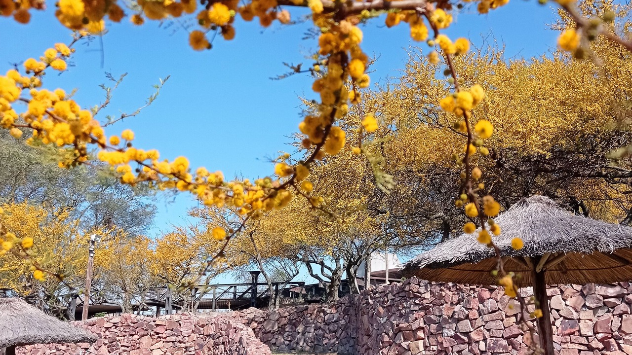 Photo of Outdoor in San Pedro