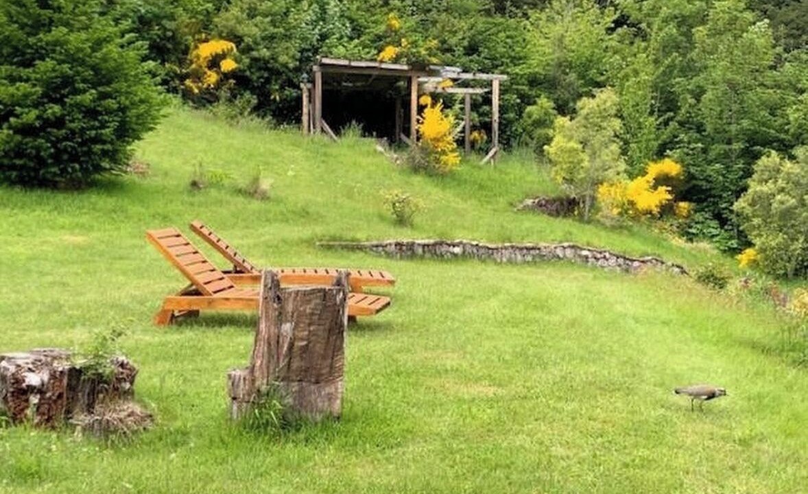 Photo of Outdoor in Angostura