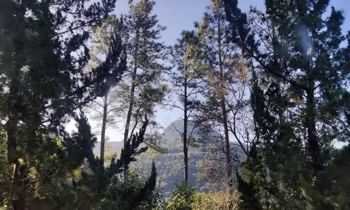Photo of Others in Canela