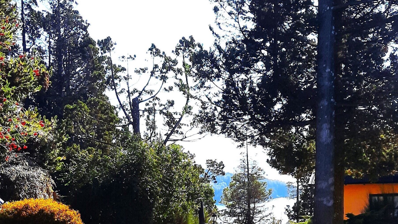 Photo of Outdoor in Playa Bonita